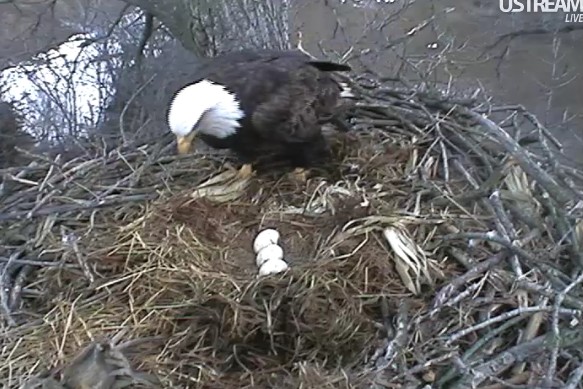 ScreenHunter_01 Mar. 02 17.02.jpg